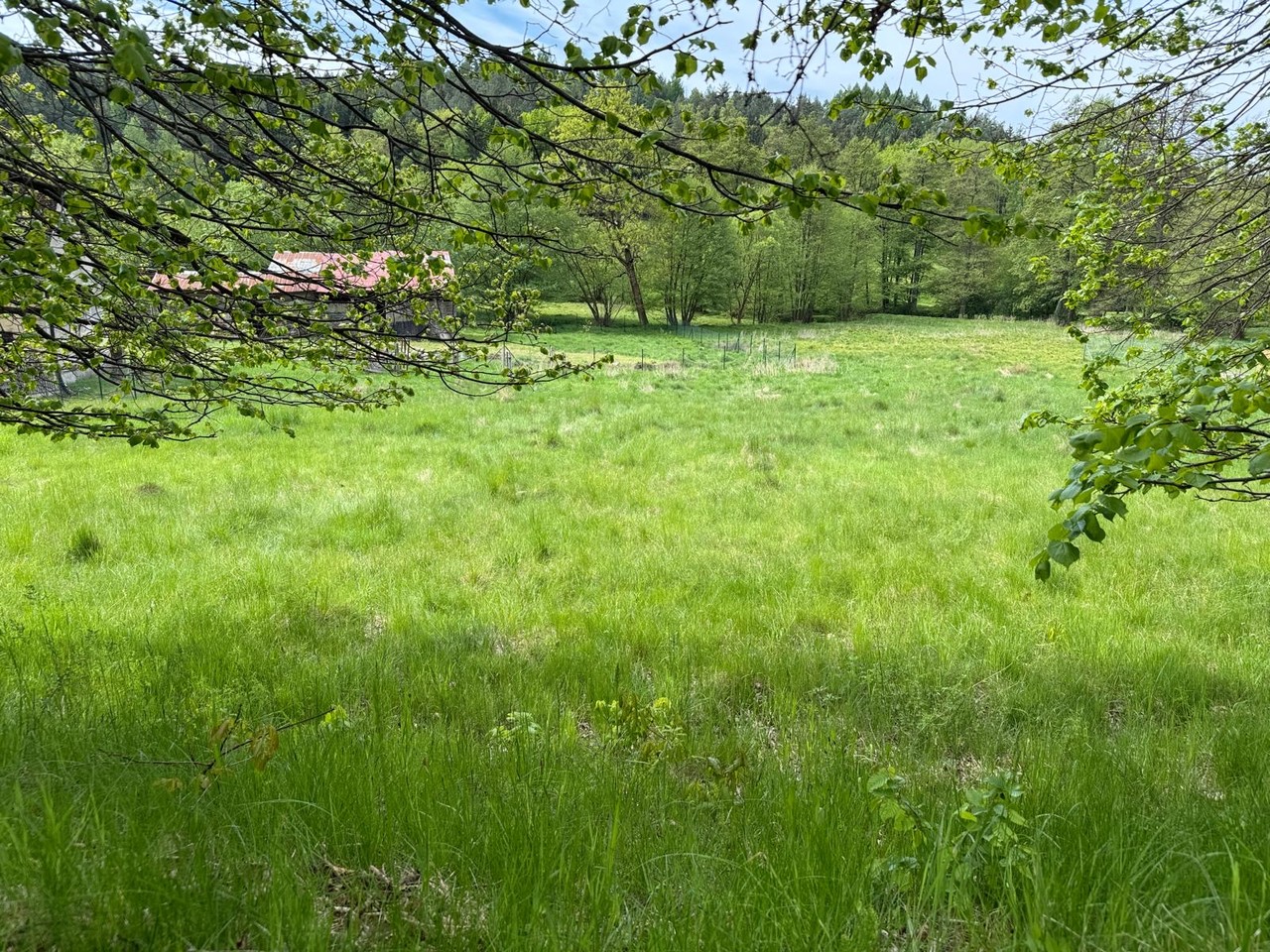 Prodej stavebního pozemku v obci Prysk, okres Česká Lípa      2.000,-Kč/m2